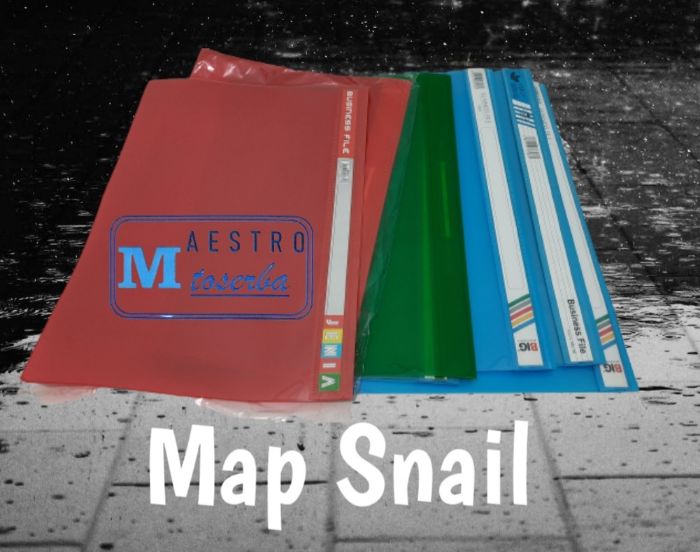 Detail Gambar Map Snail Nomer 40