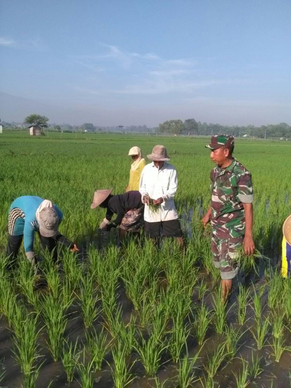 Detail Gambar Masyarakat Melaksanakan Sumber Daya Alam Nomer 2