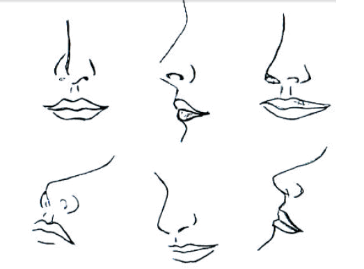 Detail Gambar Mata Hidung Mulut Telinga Nomer 20