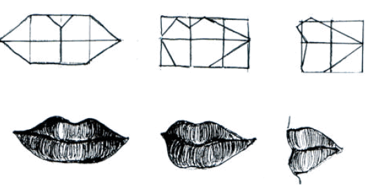 Detail Gambar Mata Hidung Mulut Telinga Nomer 30