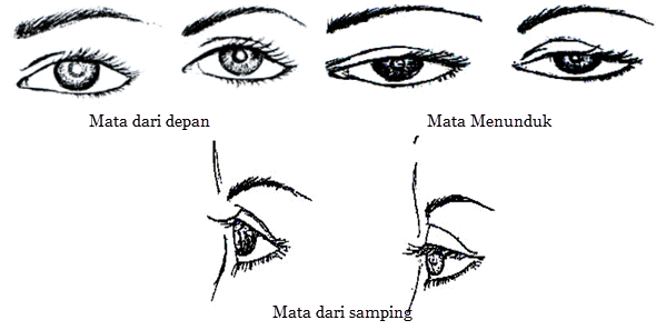 Detail Gambar Mata Hidung Mulut Telinga Nomer 5