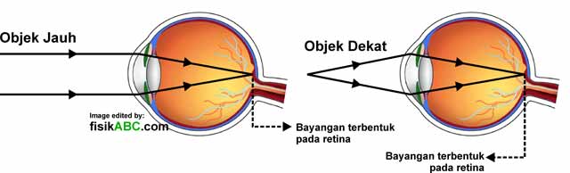 Detail Gambar Mata Normal Nomer 38