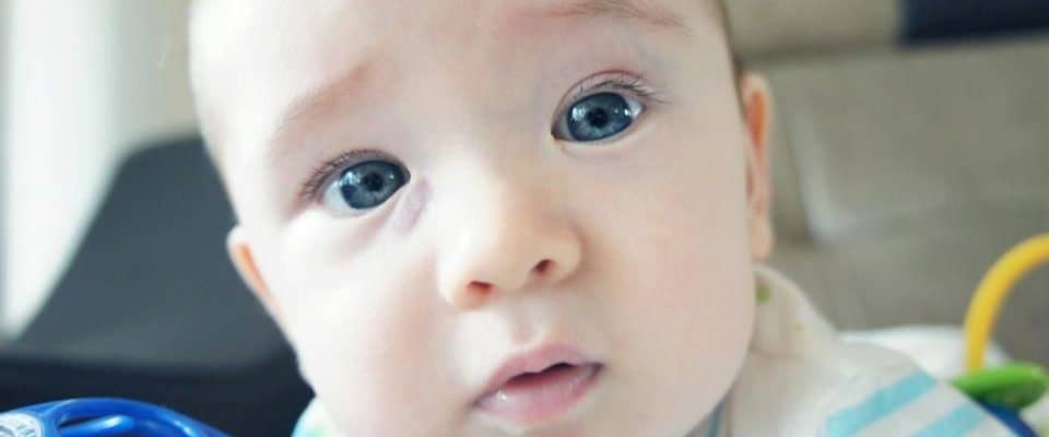 Detail Gambar Mata Normal Pada Bayi Nomer 31