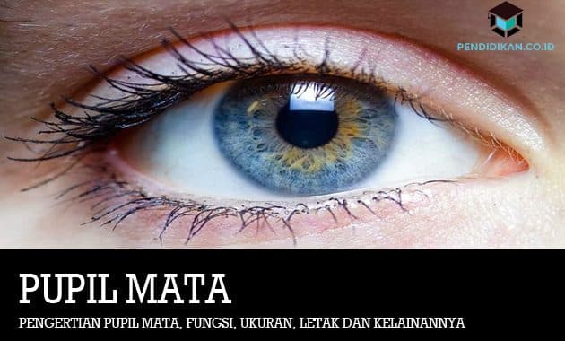 Detail Gambar Mata Orang Nomer 34