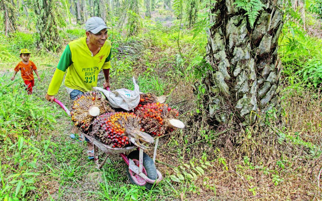 Detail Gambar Mata Pencaharian Petani Nomer 14