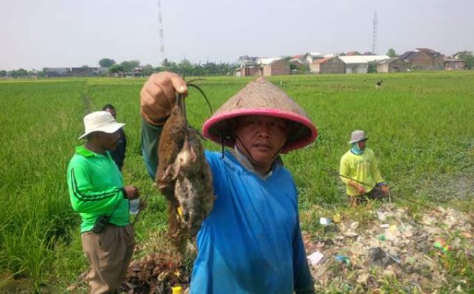 Detail Gambar Mata Pencaharian Petani Nomer 49