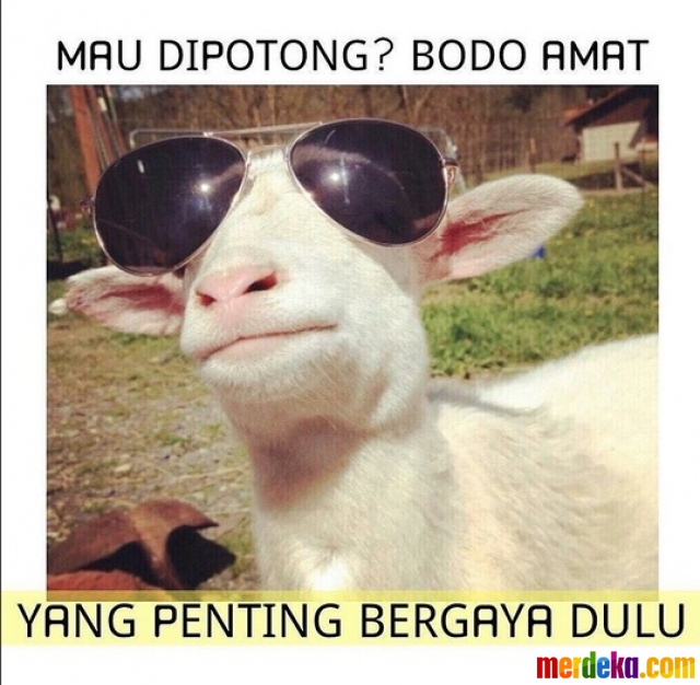 Detail Gambar Mata Sharingan Gambar Kambing Lucu Nomer 13