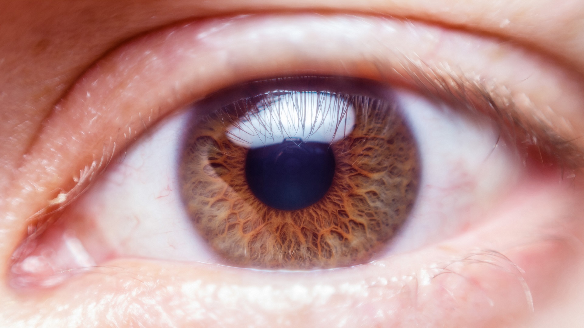 Detail Gambar Mata Telinga Hidung Nomer 11
