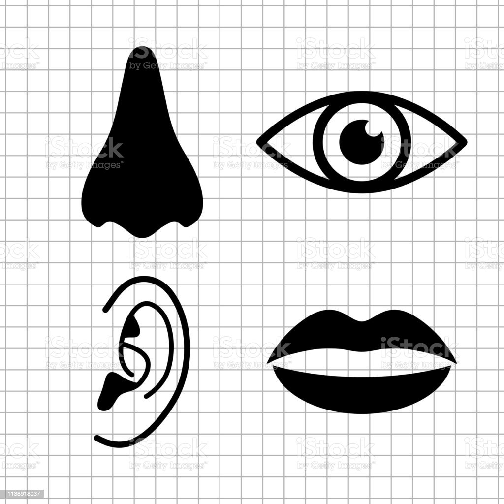 Detail Gambar Mata Telinga Hidung Nomer 13