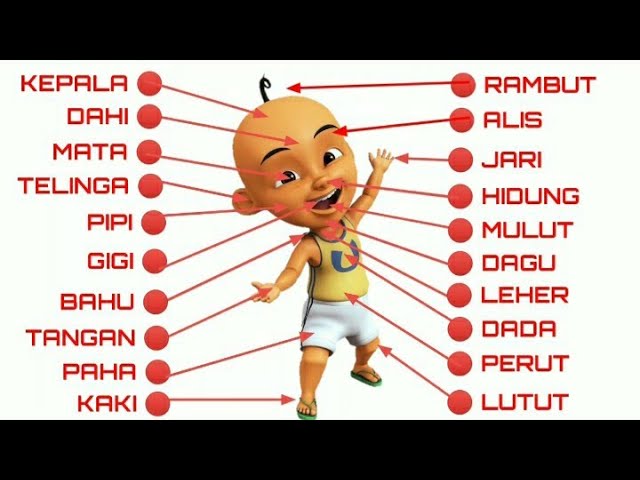 Detail Gambar Mata Telinga Hidung Kartun Nomer 54