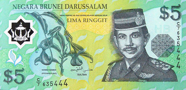 Detail Gambar Mata Uang Brunei Nomer 12