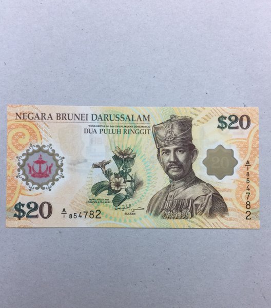 Detail Gambar Mata Uang Brunei Nomer 14