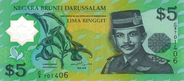 Detail Gambar Mata Uang Brunei Nomer 57