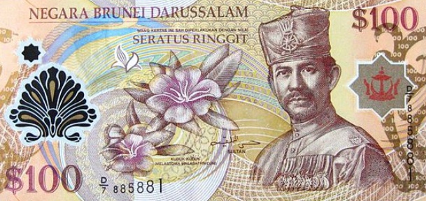 Detail Gambar Mata Uang Brunei Nomer 7