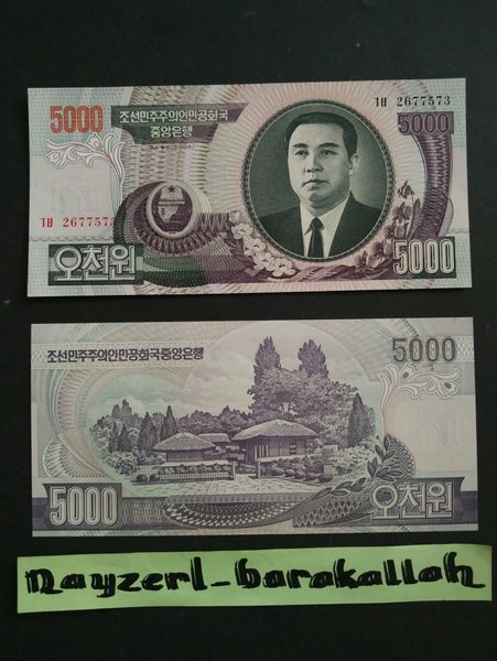 Detail Gambar Mata Uang Korea 5000 Won Nomer 11