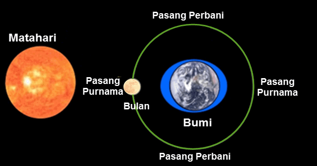 Detail Gambar Matahari Bumi Bulan Nomer 19