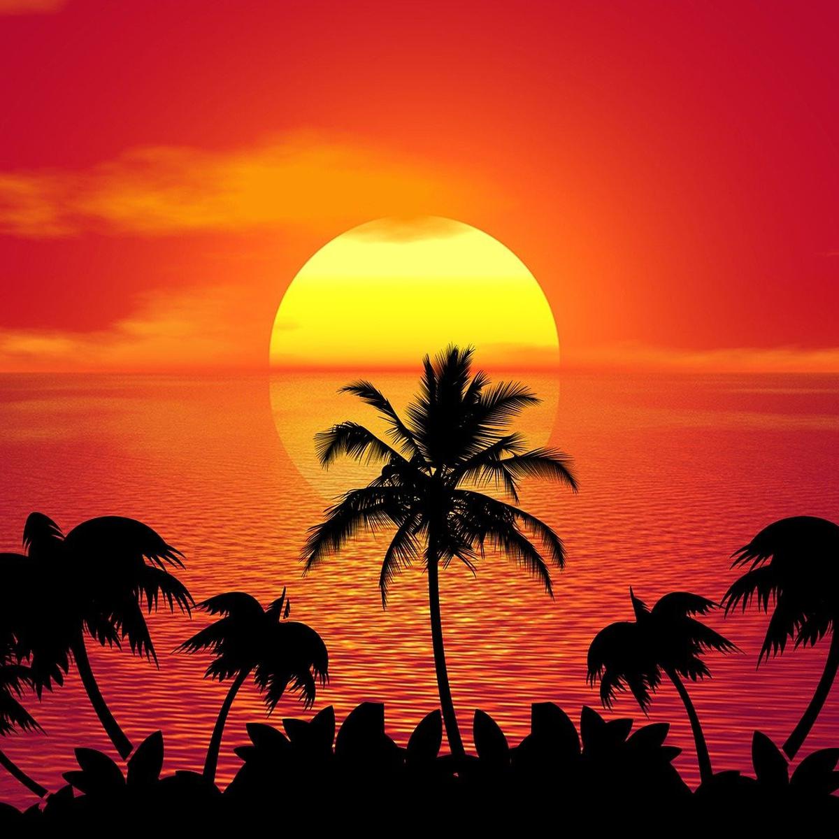 Detail Gambar Matahari Tenggelam Di Pantai Nomer 46