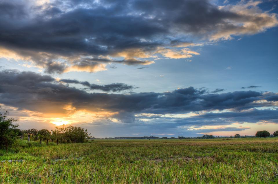Detail Gambar Matahari Terbit Di Sawah Nomer 19