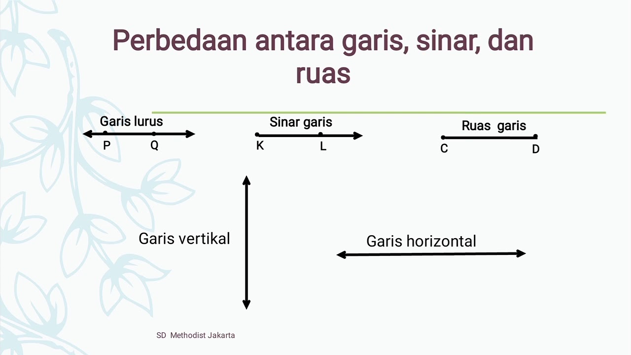 Detail Gambar Materi Garis Kelas 4 Nomer 16