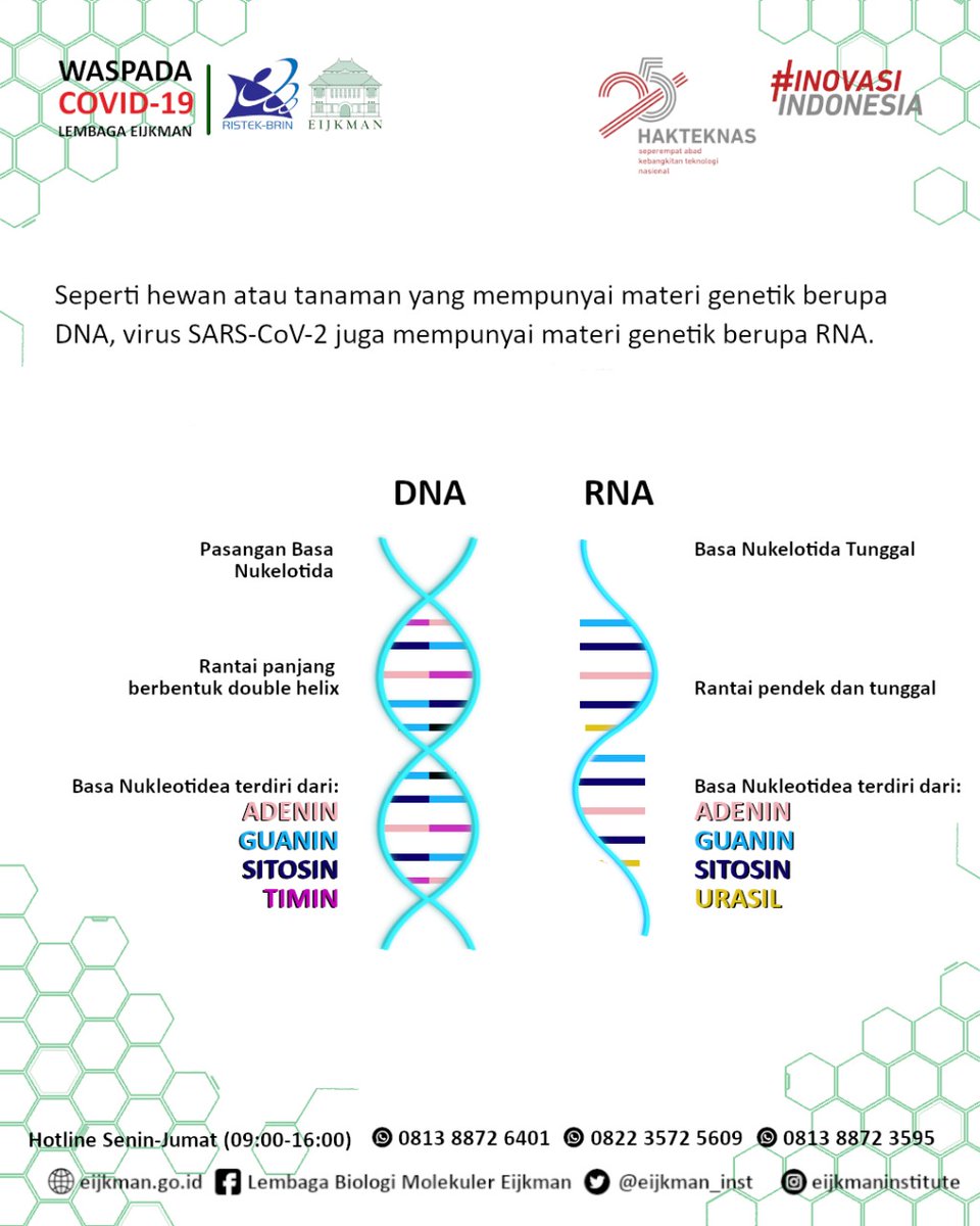 Detail Gambar Materi Genetik Nomer 13