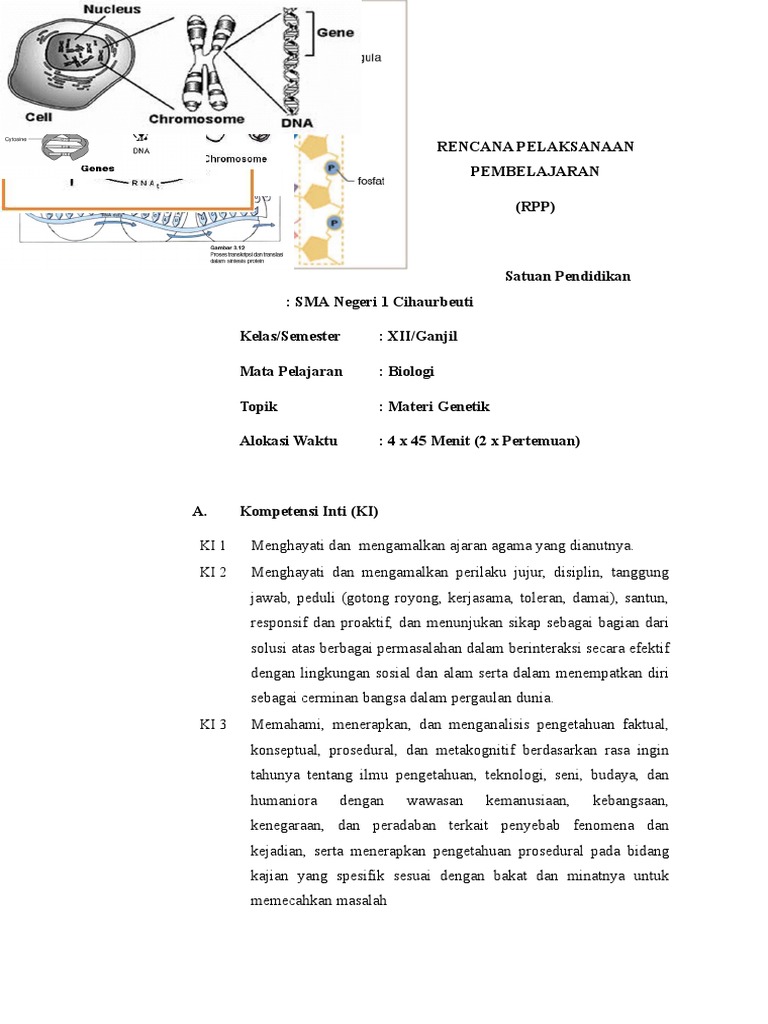 Detail Gambar Materi Genetik Nomer 41