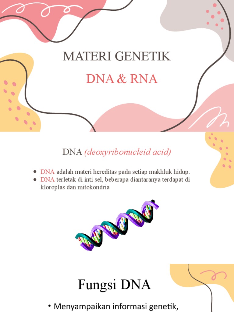 Detail Gambar Materi Genetik Nomer 44