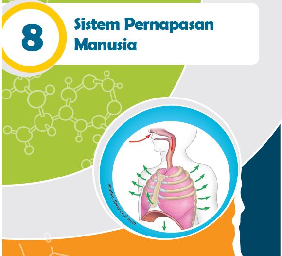 Detail Gambar Materi Ipa Nomer 12