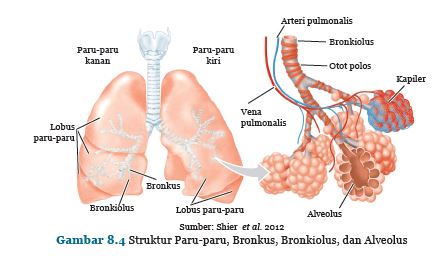 Detail Gambar Materi Ipa Nomer 41