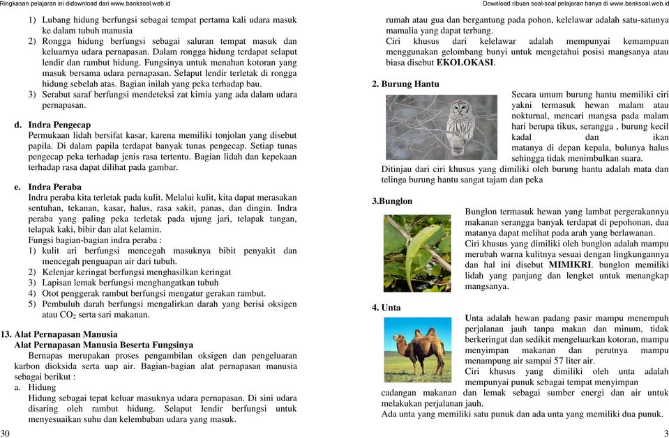 Detail Gambar Materi Ipa 6sd Nomer 51