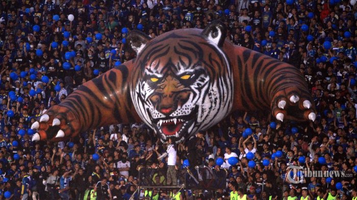 Detail Gambar Maung Persib Nomer 9