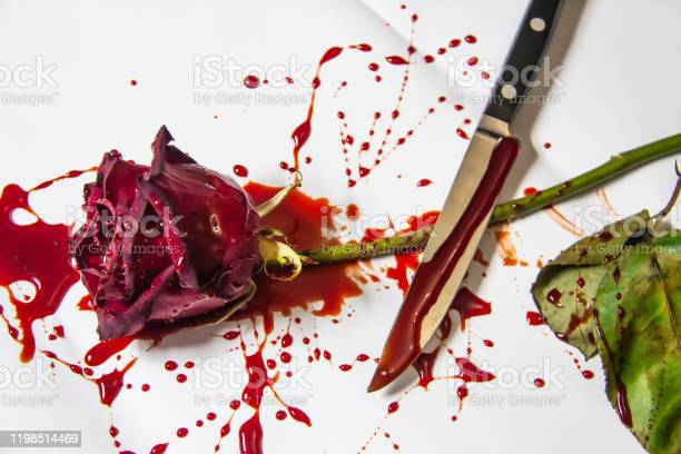 Detail Gambar Mawar Merah Berdarah Nomer 11