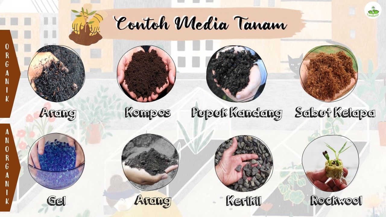 Detail Gambar Media Tanam Nomer 25