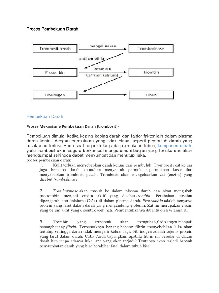 Detail Gambar Mekanisme Pembekuan Darah Nomer 19