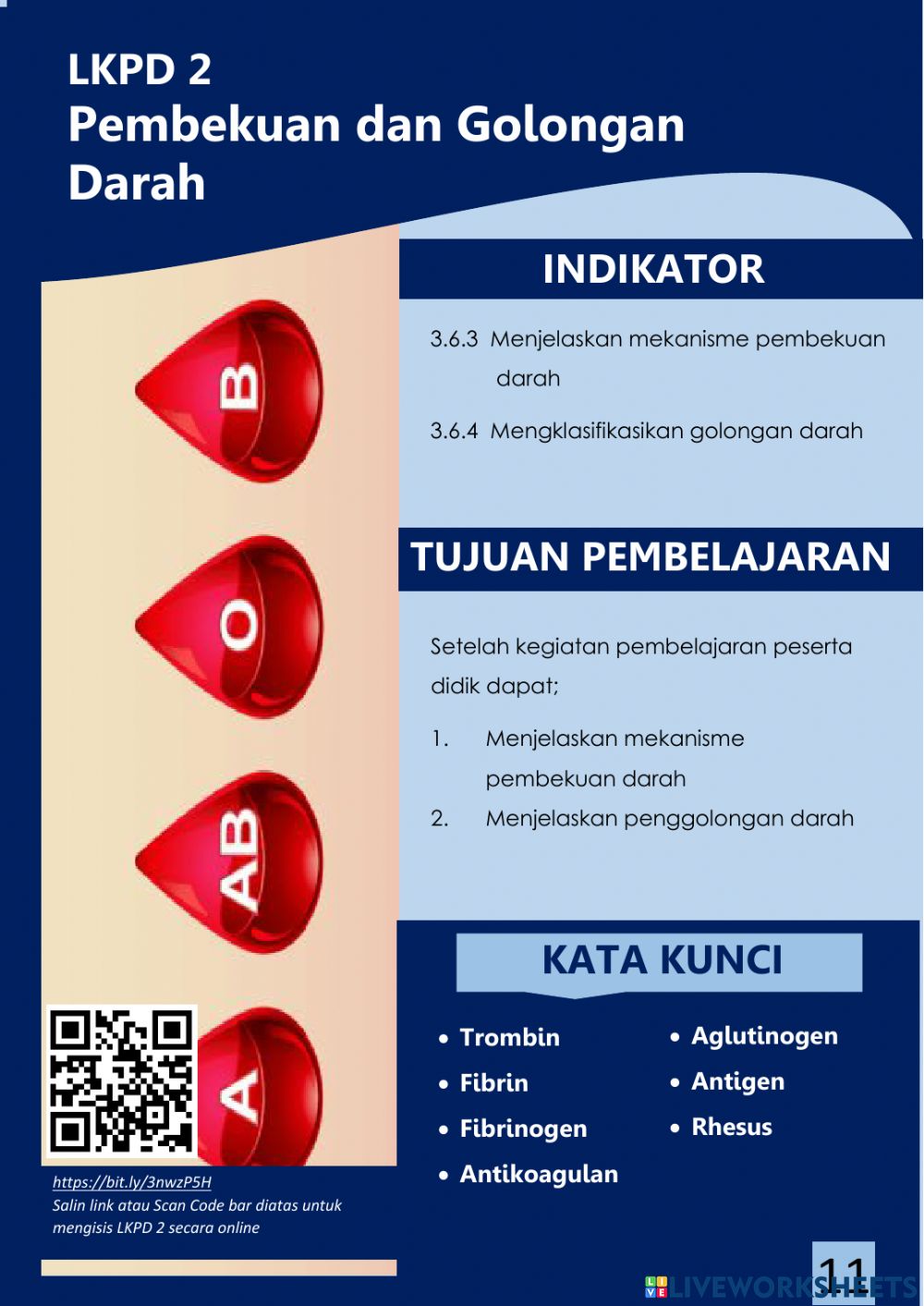 Detail Gambar Mekanisme Pembekuan Darah Nomer 46