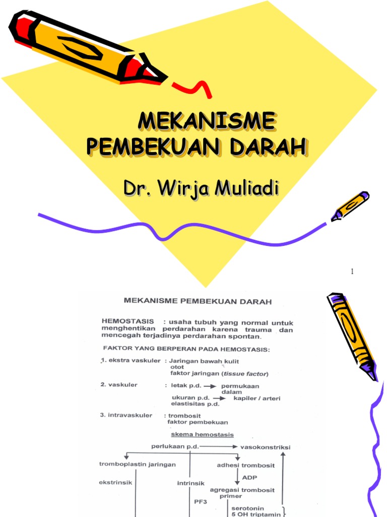 Detail Gambar Mekanisme Pembekuan Darah Nomer 51