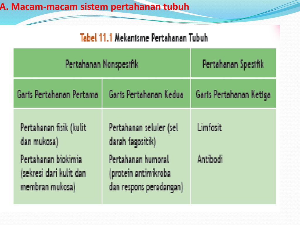 Detail Gambar Mekanisme Pertahanan Tubuh Non Spesifik Nomer 13