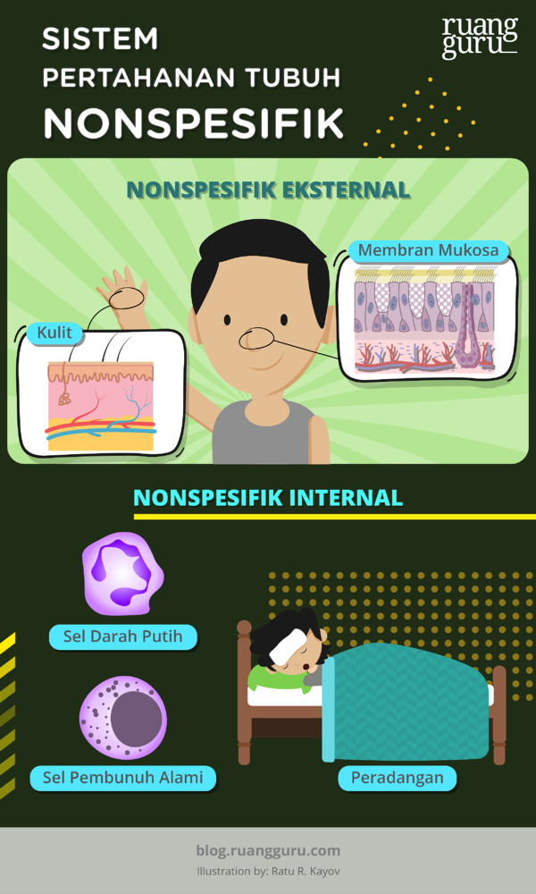 Detail Gambar Mekanisme Pertahanan Tubuh Non Spesifik Nomer 15