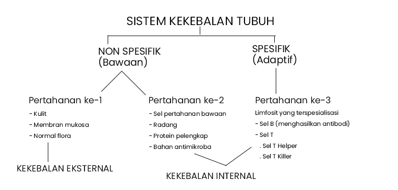 Detail Gambar Mekanisme Pertahanan Tubuh Non Spesifik Nomer 24