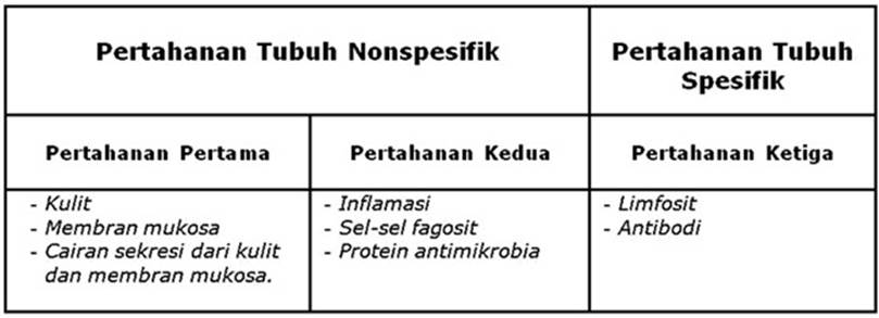 Detail Gambar Mekanisme Pertahanan Tubuh Non Spesifik Nomer 27