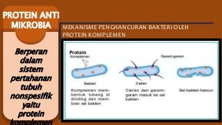 Detail Gambar Mekanisme Pertahanan Tubuh Non Spesifik Nomer 31