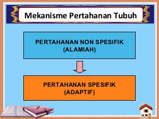 Detail Gambar Mekanisme Pertahanan Tubuh Non Spesifik Nomer 50