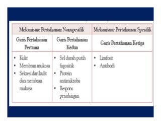 Detail Gambar Mekanisme Pertahanan Tubuh Spesifik Nomer 40