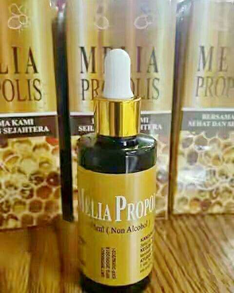 Detail Gambar Melia Propolis Nomer 12