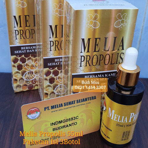 Detail Gambar Melia Propolis Nomer 52