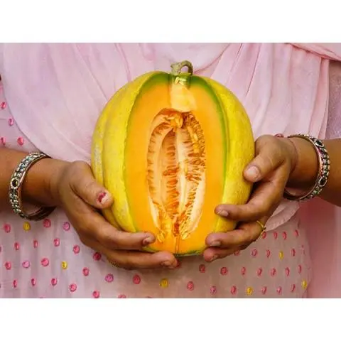 Detail Gambar Melon Nomer 48