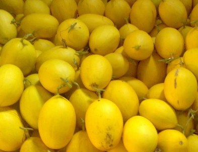 Download Gambar Melon Kuning Nomer 18