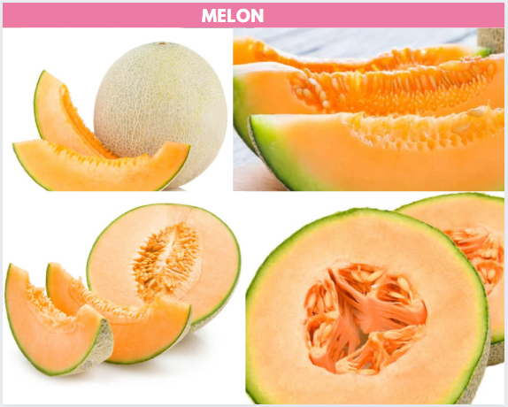 Detail Gambar Melon Kuning Nomer 26