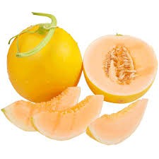 Detail Gambar Melon Kuning Nomer 30