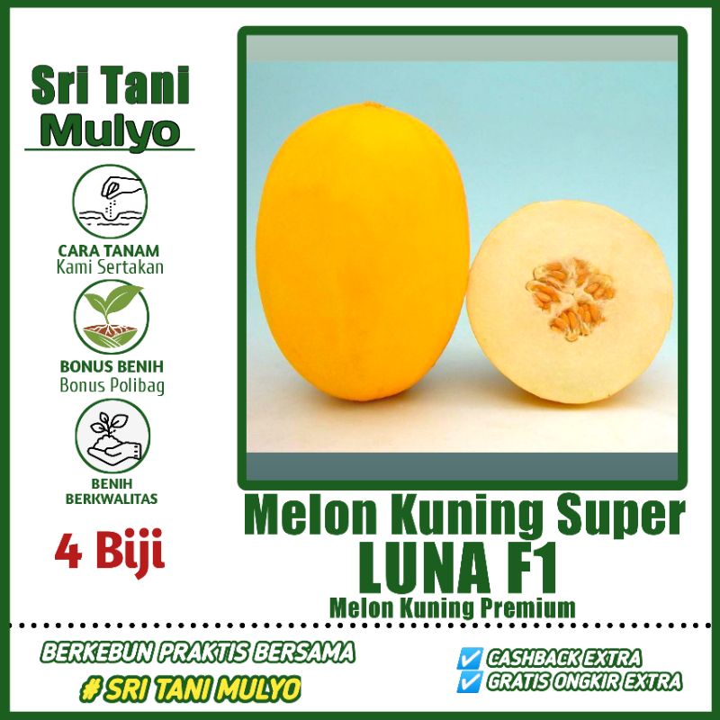 Detail Gambar Melon Kuning Nomer 32