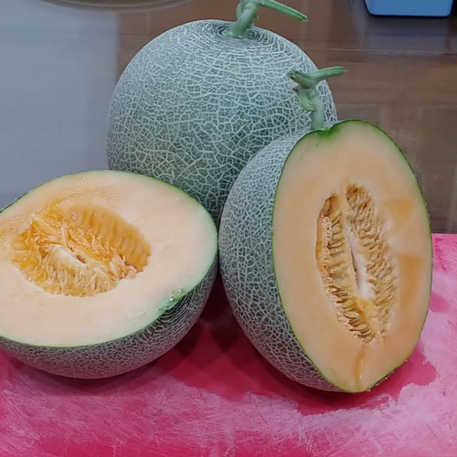 Detail Gambar Melon Kuning Nomer 44